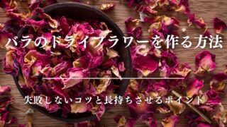 決定版】バラのドライフラワーの作り方！美しく仕上げる3つの方法と