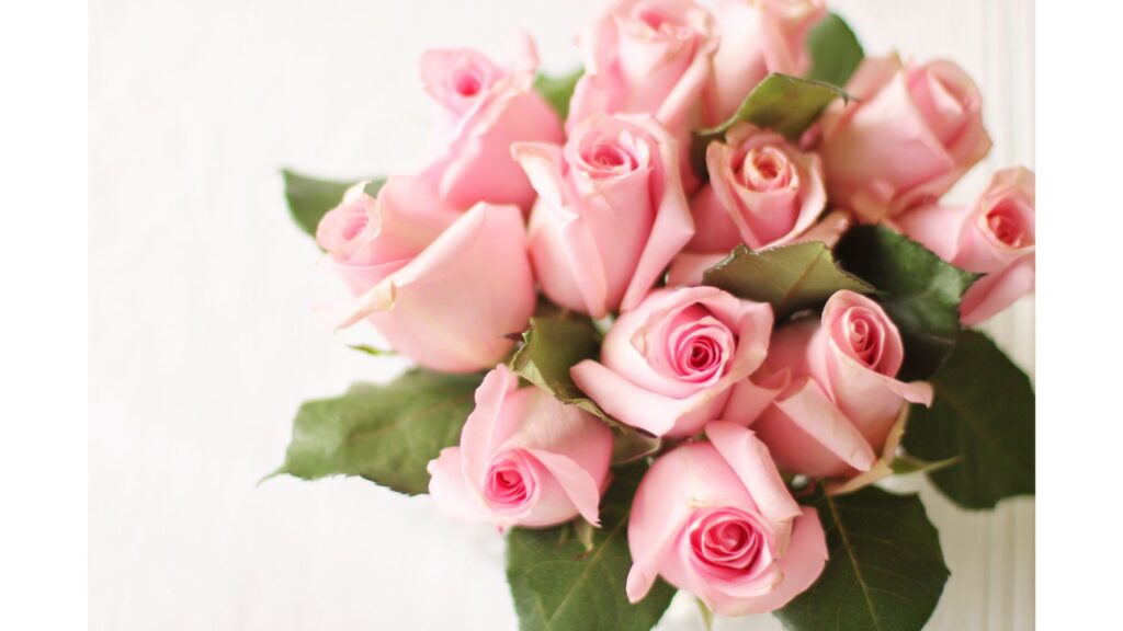 12本の薔薇　意味