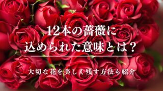 12本の薔薇に込められた意味とは？大切な花を美しく残す方法も紹介