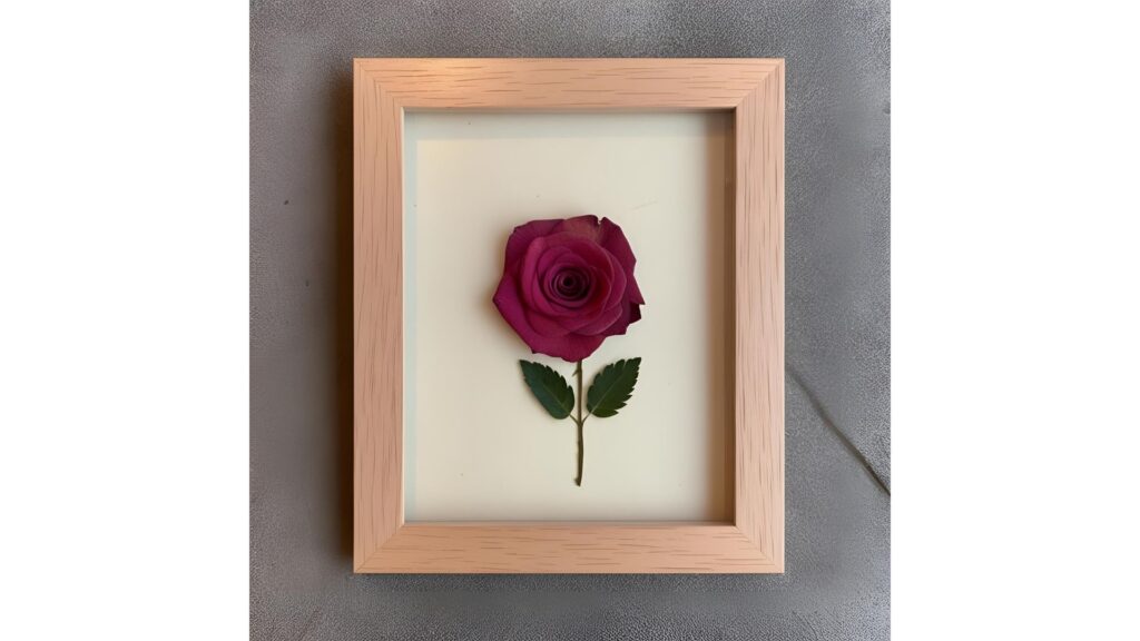 薔薇　押し花