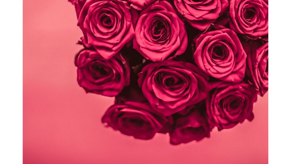 薔薇　11本