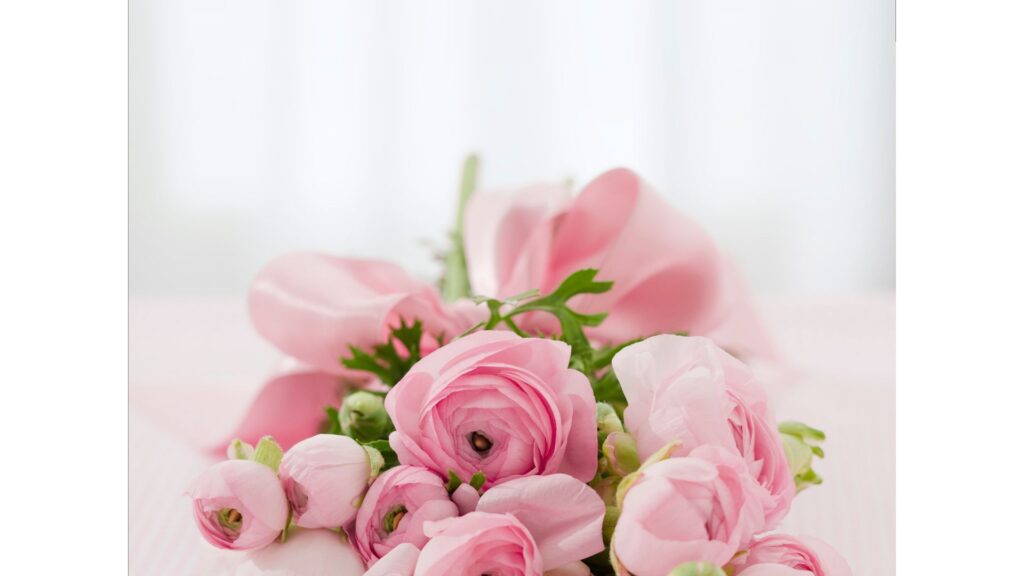 薔薇