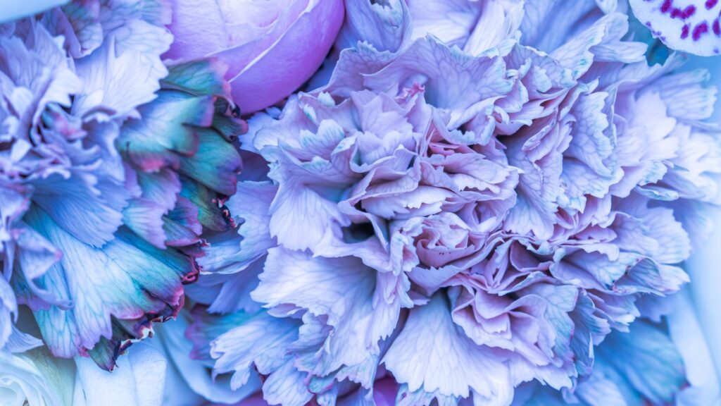 青い花 花言葉