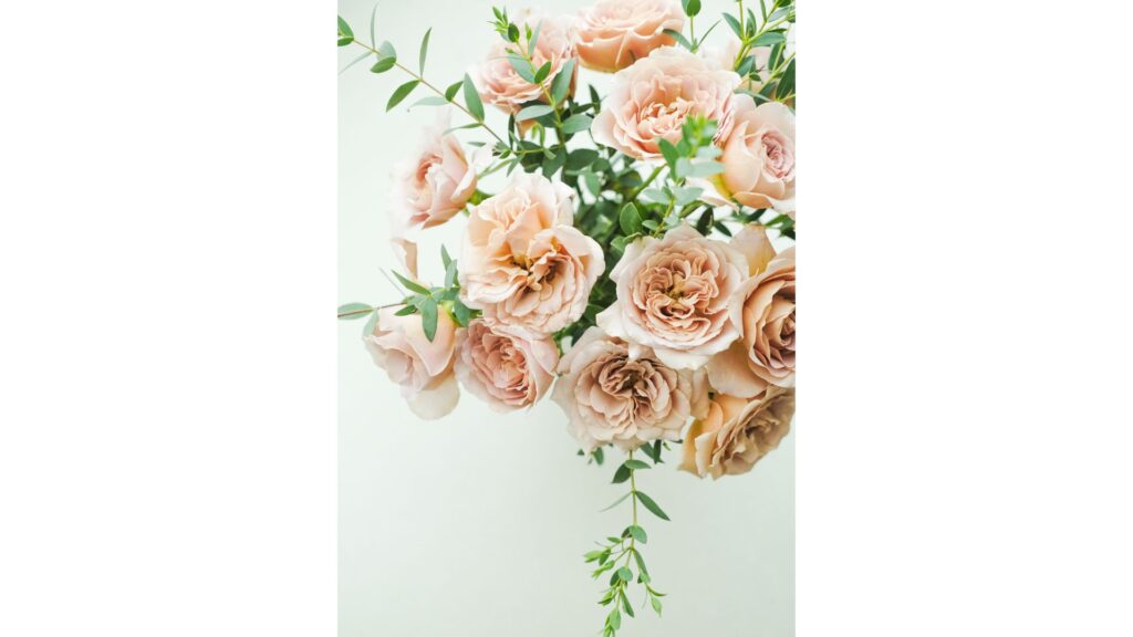 薔薇　カフェラテ