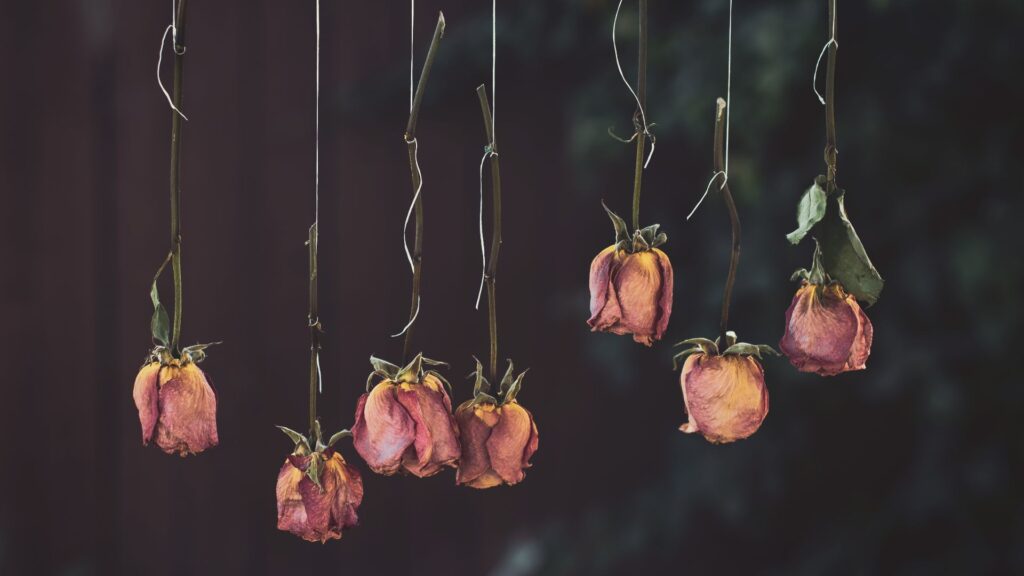 ドライフラワー 花束