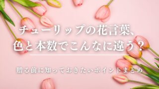 bellbouquet-SEO-81-1-320x180.jpg