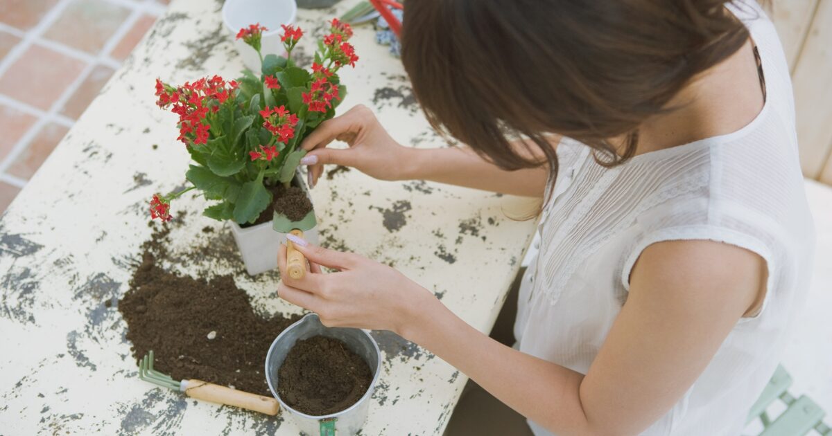 花をお手入れする女性