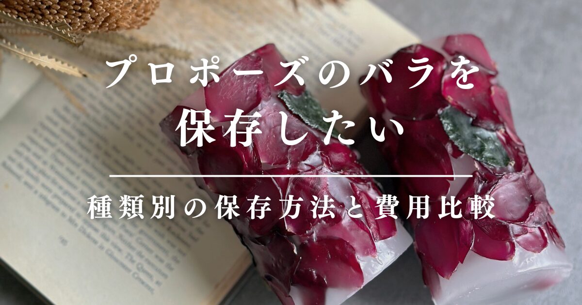 プロポーズのバラを保存したい！種類別の保存方法と費用比較